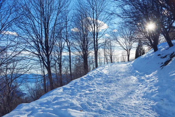 スイスの冬の高山の風景 — ストック写真