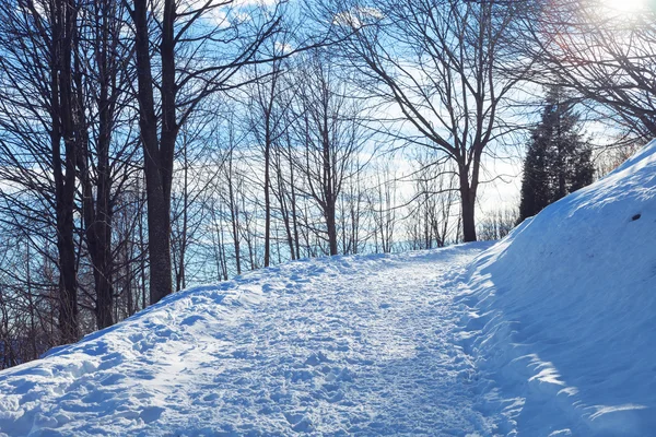 Kış İsviçre dağ manzarası