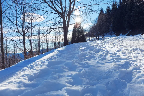 Paisaje alpino de invierno en Suiza — Foto de Stock