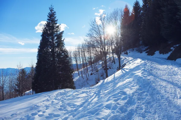 Зимний альпийский пейзаж в Швейцарии — стоковое фото