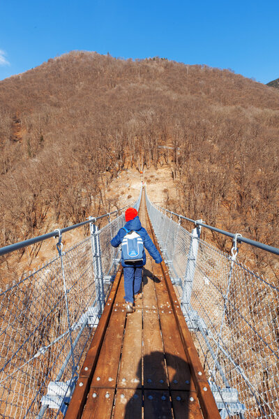 Горный ландшафт с подвесной мост
