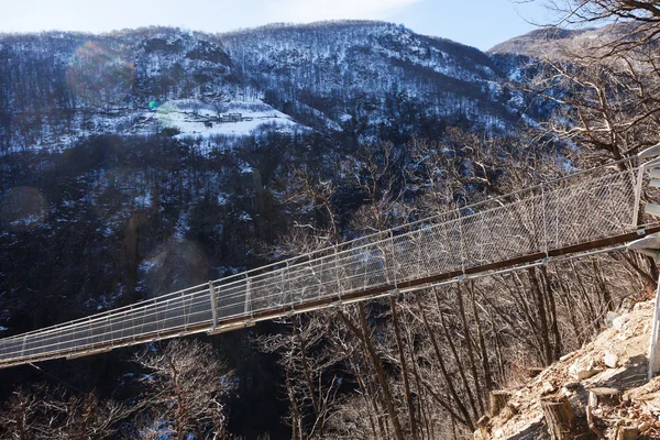Berglandskap med hängbro — Stockfoto