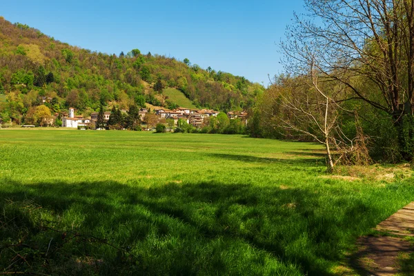 Stor grön gräsmatta i naturen — Stockfoto