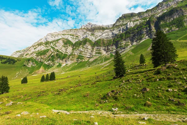 Hegyvidéki tájkép — Stock Fotó