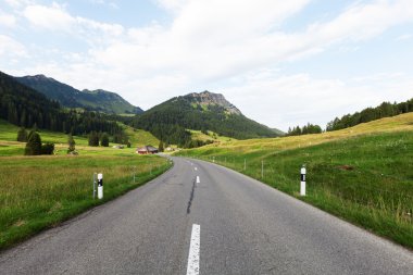 Yaz dağı manzarası