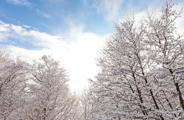 Inverno na Suíça do Sul — Fotografia de Stock