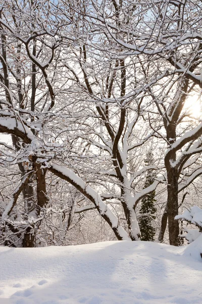 Inverno na Suíça do Sul — Fotografia de Stock