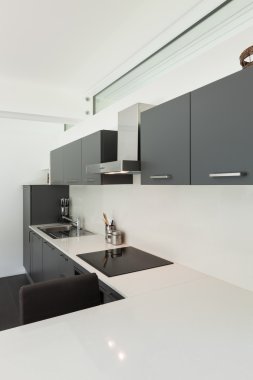 Modern mutfak, iç evi