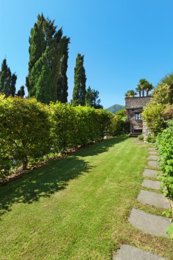 yeşil bahçe çitleri ile