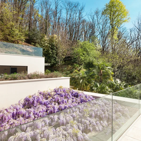 Dom, weranda z wisteria, widok z góry — Zdjęcie stockowe