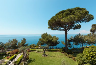 bir Villa Bahçe peyzaj