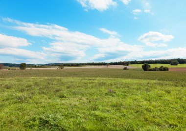 manzara, yeşil alan