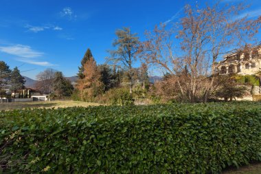 Mavi gökyüzü olan manzara