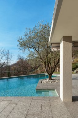 Havuzlu modern bina