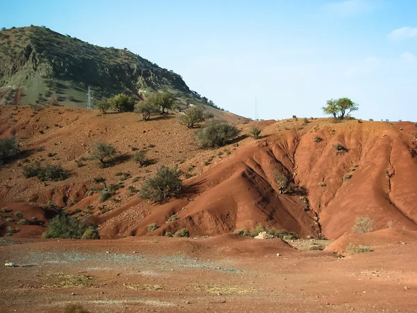 Klasik Fas manzara - kırmızı dağ ve argan ağaçlar