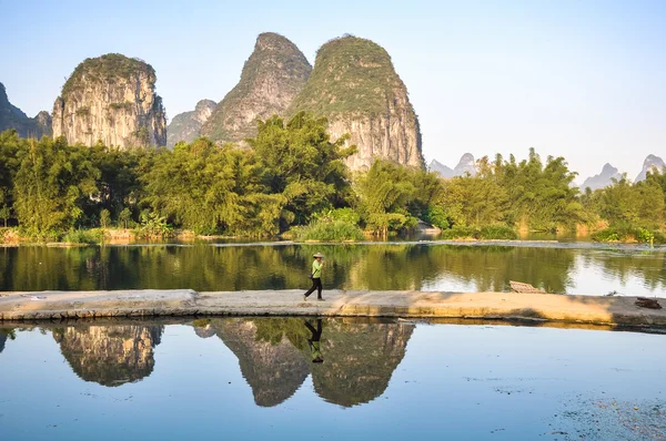 Schöne Felsen und Bambuswald am Ufer des Flusses — Stockfoto