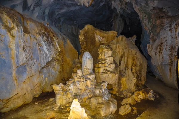 Kedi Ba adada mağarasının güzel bağırsakları 