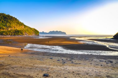 Coast of Cat Ba Island during low tide clipart