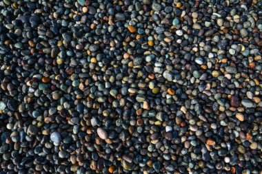 Deniz kıyısı üzerinde renkli çakıl bol