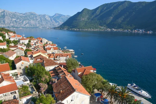 Panorama of the Kotor Bay — Stock Photo, Image