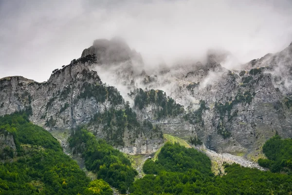 Yüksek kayalıklarla ve eteklerinde ormanlar