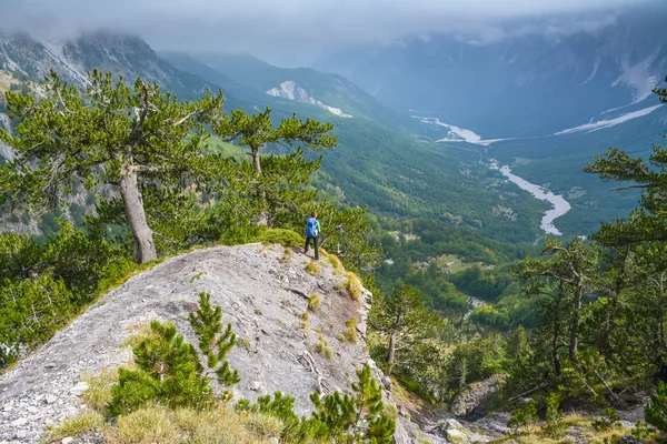 Turistik bir uçurumun dağ Vadisi yukarıda üzerinde