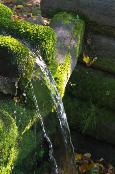 Kilde til naturlig mineralvann – stockfoto