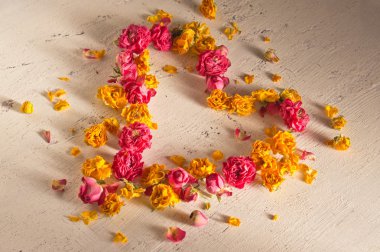 Kurutulmuş güller ile Retro arka plan