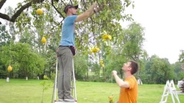 Düğün floristics bir rustik tarzda