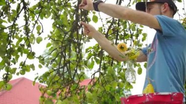 Düğün floristics bir rustik tarzda