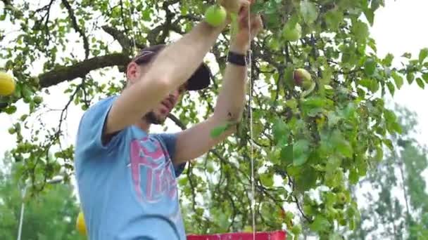 Hochzeitsfloristik im rustikalen Stil — Stockvideo