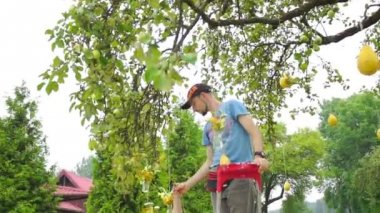 Düğün floristics bir rustik tarzda