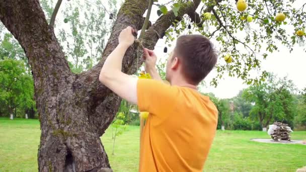 Bruiloft Floristiek in een rustieke stijl — Stockvideo