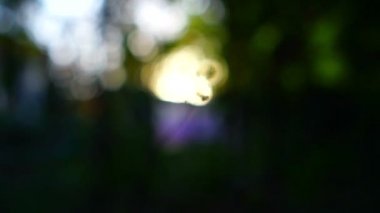 Yumuşak odak ayarı