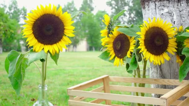 Floristics γάμου σε ρουστίκ στυλ — Αρχείο Βίντεο