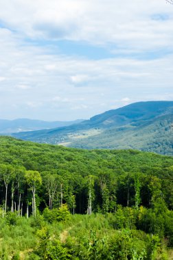 Dağlar. Chynadiyovo. Zakarpattia. Ukrayna.