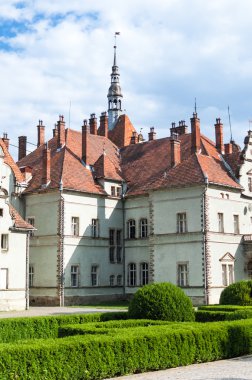 Schoenborn Sarayı. Zakarpattia. Ukrayna