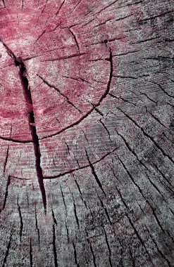 renkli ahşap bölümü doku