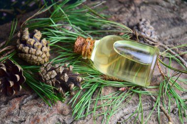 Çam aromalı spa biyo organik