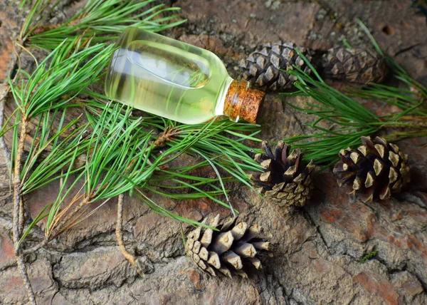 Pine Aroma Olaj Spa Bio Szerves — Stock Fotó