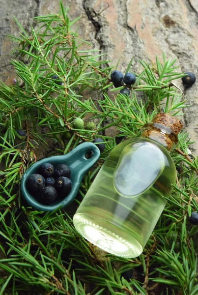 Juniperus Oil Aromatherapy Bio Roganic — 图库照片