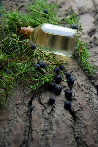 Juniperus Olaj Aromaterápia Bioterápiás — Stock Fotó
