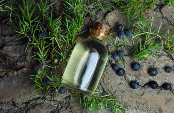 Juniperus Oil Aromatheraphy Bio Roganic — 스톡 사진