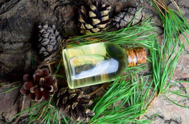 Çam aromalı spa biyo organik