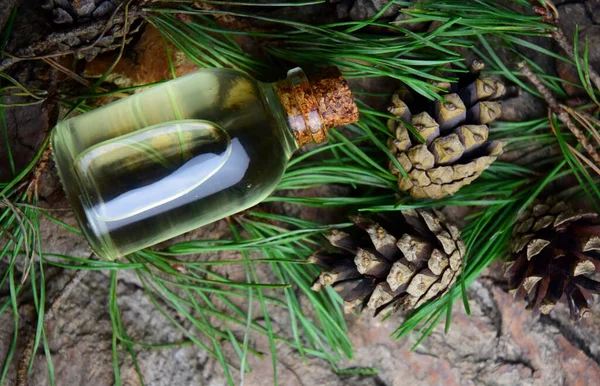 Pine Aroma Olaj Spa Bio Szerves — Stock Fotó