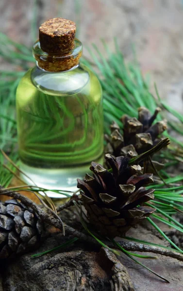 Pine Arom Olja Spa Bio Ekologisk — Stockfoto