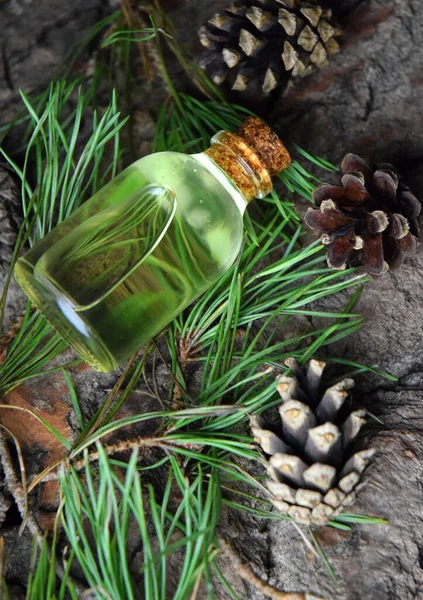 Pine Aroma Oil Spa Bio Organic — Stock Photo, Image