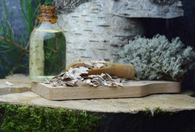 Brich bark betulin özütü bio organik