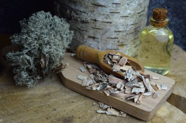 Brich bark betulin özütü bio organik