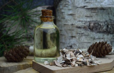 Brich bark betulin özütü bio organik